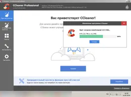 CCleaner — скриншот 4